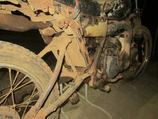 ขาย dt mono 125