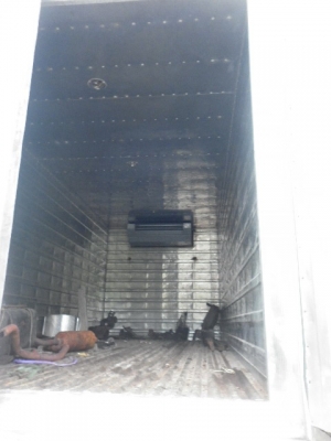 ขายตู้พร้อมเครื่องทำความเย็น3สูบ2ระบบ