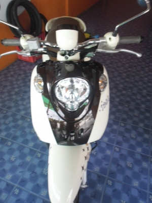 ฟีโน่เกแยก(ธันวา54)22900ส่งฟรี