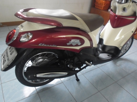 ฟีโน่เกแยก(19900ส่งฟรี)