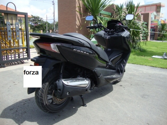 ขาย !! HONDA FORZA 300i 2013 สีดำเงา