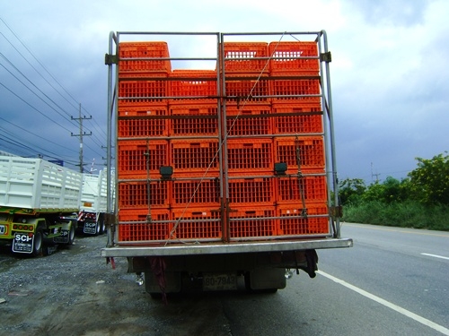 ขายรถบรรกทุกไก่