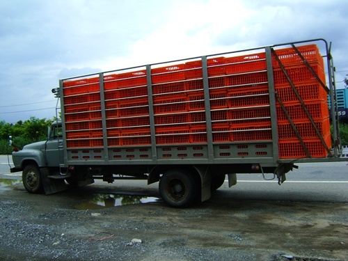 ขายรถบรรกทุกไก่