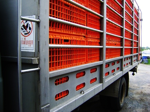 ขายรถบรรกทุกไก่