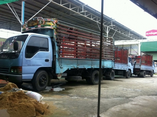 ขายถูกๆคะ Izusu NPR ปี1999 เครื่อง 120 แรงม้า ยาว4.20 ม.