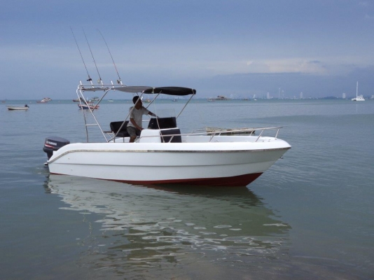 Boat For Sale + 115HP Yamaha Outboard (under 100 Hours)