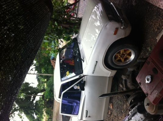 ขายช้างเหยีบ