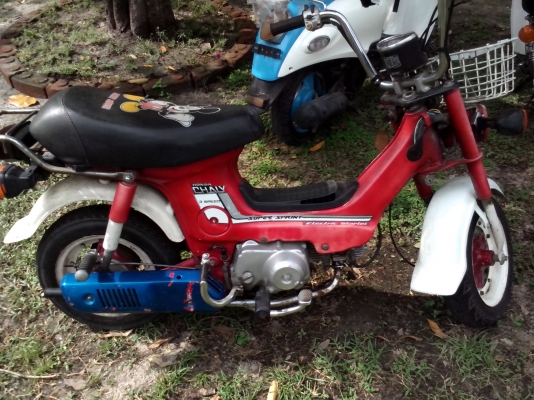 ขายชาลี