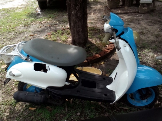 ขาย VINO จาก ญี่ปุ่่น