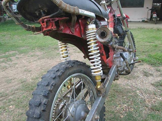 ขาย dream 100 ตูดเป็ดวิบาก