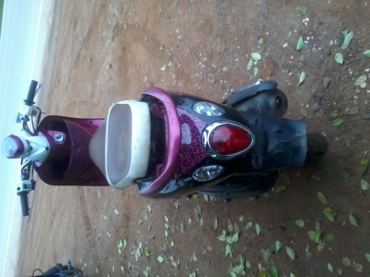 ฟีโน่53ท่ออาร์ม