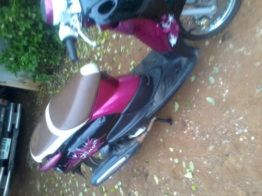 ฟีโน่53ท่ออาร์ม