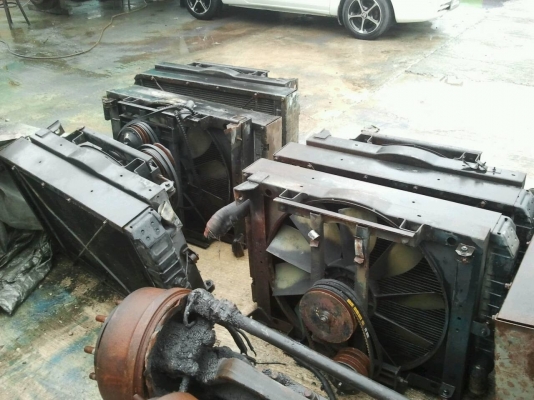 คัสซี แดดวู เข้าใหม่