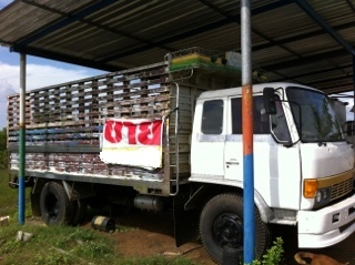 ขาย6ล้อกระคาโก้สตัลเลต สภาพสวยพร้อมใช้ ราคาต่องได้ ติดต่อได้ที่คุณ อ๊อฟ พิจิตร 086-737-9991