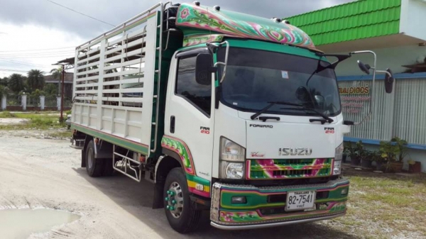 ISUZU FRR 210  แรง  รถบรรทุก 6 ล้อ กระบะไม่ดั๊ม