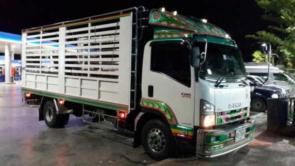 ISUZU FRR 210  แรง  รถบรรทุก 6 ล้อ กระบะไม่ดั๊ม