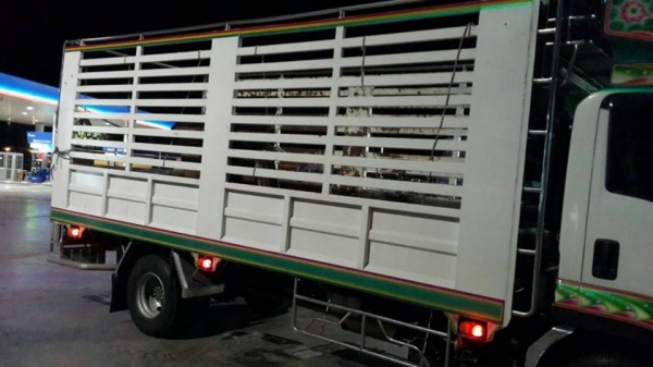 ISUZU FRR 210  แรง  รถบรรทุก 6 ล้อ กระบะไม่ดั๊ม