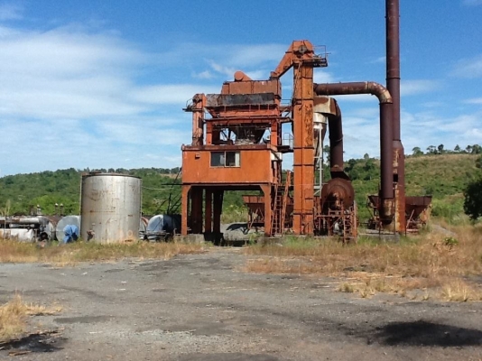 ขาย แพล้นยาง Niigata นิกาตา