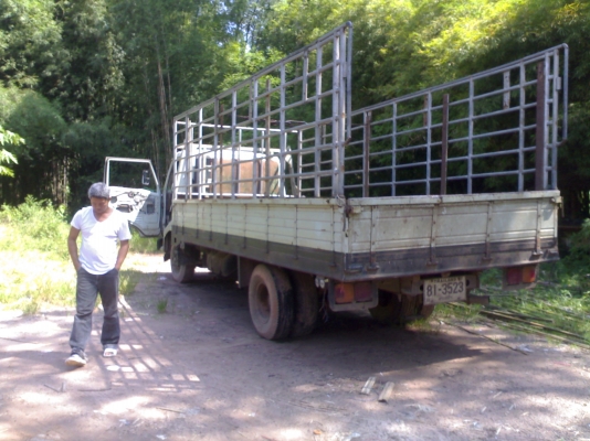 ขายHINO KM779 เครื่อง WO4D 117แรงช่วงยาว สภาพสวยๆ