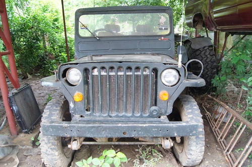 ขายด่วน Jeep Willy M38