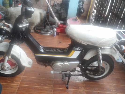 ชาลี 9800 ชาลี 9800