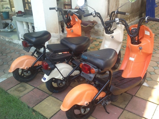 ขาย Choinori สีส้ม สีครีม มีสามคัน 11700บาท