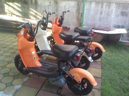 ขาย Choinori สีส้ม สีครีม มีสามคัน 11700บาท