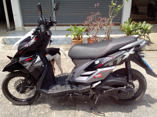 ขายยามาฮ่า ttx