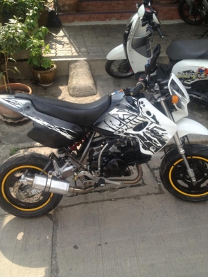 KSR ลาย5 ปี 53