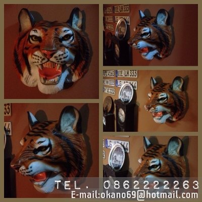 ขายหัวเสือ 1,390 บาท 0813432224