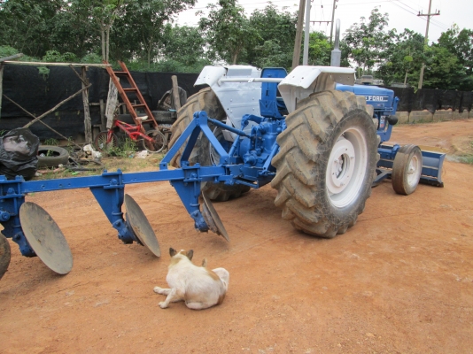 ขาย รถไถ   ford   77  T1   พร้อมใช้งาน