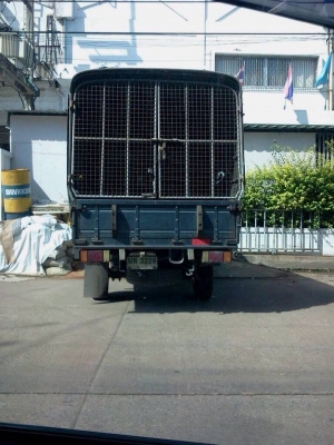 ขาย NKR 3.1