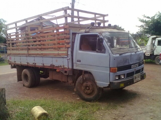 ISUZU NPR59LU 115 แรง 4BD1 เกียรยาว มาลัยธรรมดา โนบุคนะครับพี่น้อง