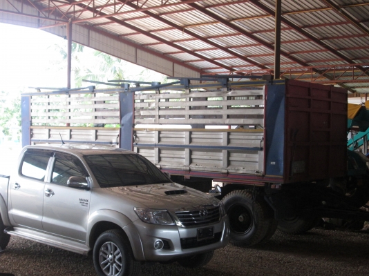 ลูกพ่วง