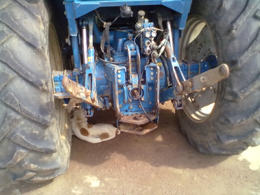 ขายด่วน