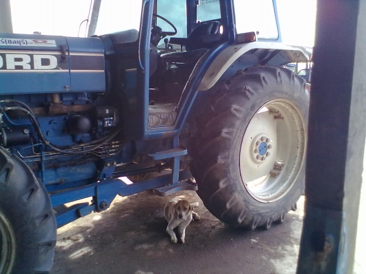 ขายด่วน