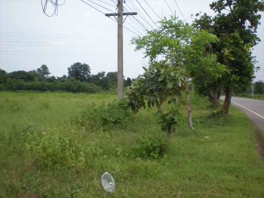 ขายที่โฉดติดถนนเขตอำเภอเมื่องไร่ละ8แสน 2แปลง 6ไร่กับ3ไร่