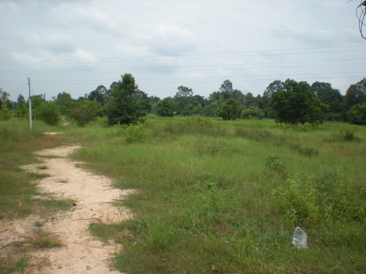 ขายที่โฉดติดถนนเขตอำเภอเมื่องไร่ละ8แสน 2แปลง 6ไร่กับ3ไร่