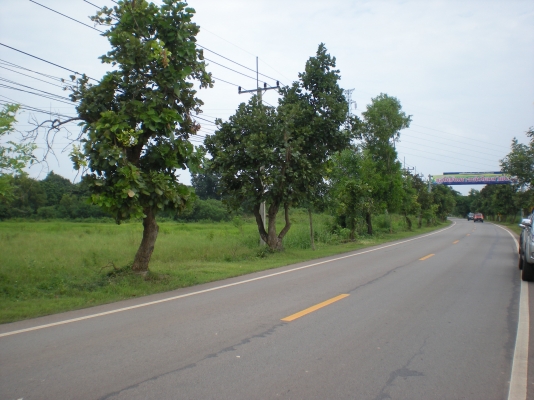 ขายที่โฉดติดถนนเขตอำเภอเมื่องไร่ละ8แสน 2แปลง 6ไร่กับ3ไร่