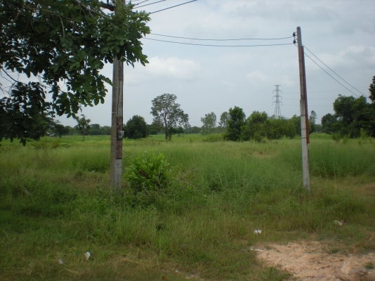 ขายที่โฉดติดถนนเขตอำเภอเมื่องไร่ละ8แสน 2แปลง 6ไร่กับ3ไร่