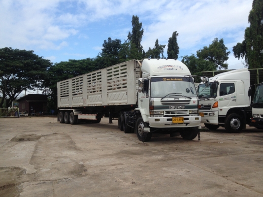 ISUZU Rocky หัวลาก 320 hp เครื่อง P11C พร้อมหาง 3 คาน 12.50 m