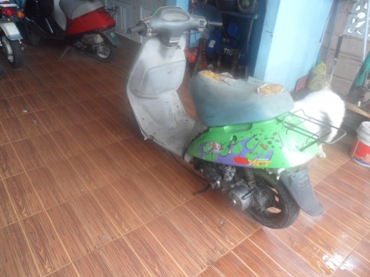 ขายป๋อบไว้ทำอะไหล่ 1800 ขายป๋อบไว้ทำอะไหล่ 1800