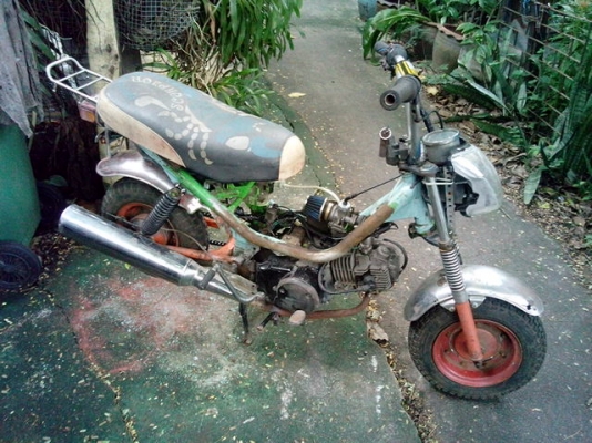 ขายชิปปี้เครืองเวฟ100