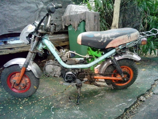 ขายชิปปี้เครืองเวฟ100