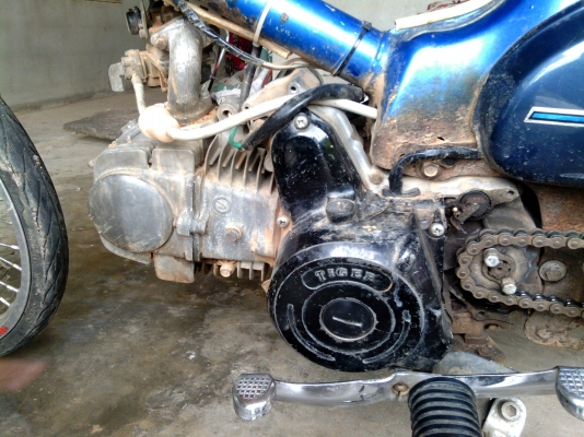 tiger  110 cc