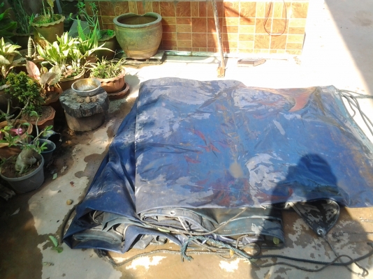 ขายผ้าใบขนาดใหญ่คลุมกระบะรถ10ล้อ  ถูกๆๆๆๆ