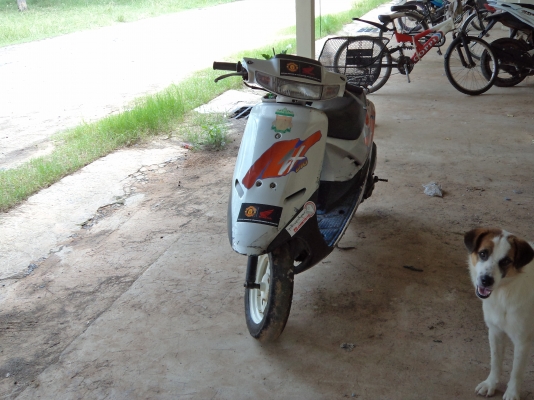 ขาย ฮอนด้า เอเอฟ 18 ฟิตๆ ไว้ให้ลูกขี่เล่นเด้อ เบาๆ 3500