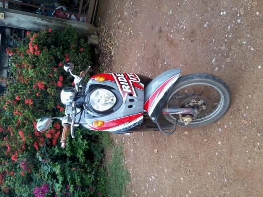 มีโอ4คันครับ เหมาหรือแยก