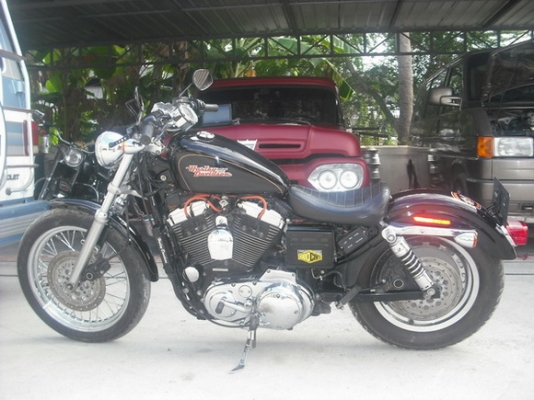 ขายสปอร์ตสเตอร์xl1200cพร้อมทะเบียนราคา430,000บาท