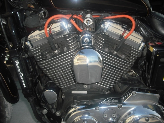 ขายสปอร์ตสเตอร์xl1200cพร้อมทะเบียนราคา430,000บาท